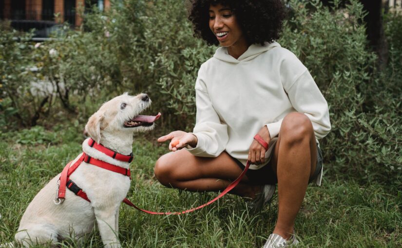 Smiling black lady training dog in green park