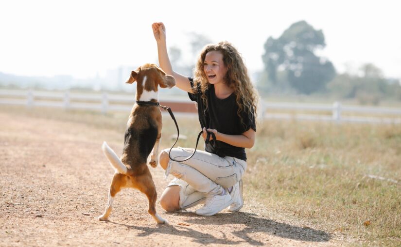 Excited woman teaching dog to beg