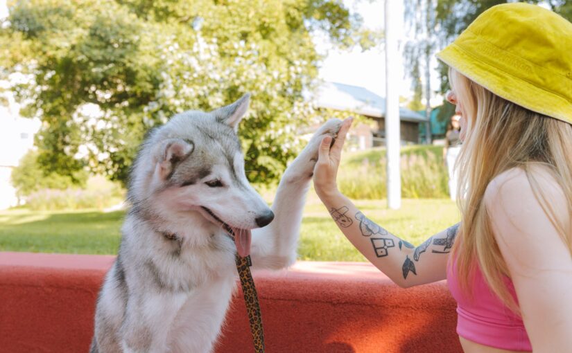 Woman and dog doing high five near red concrete bench